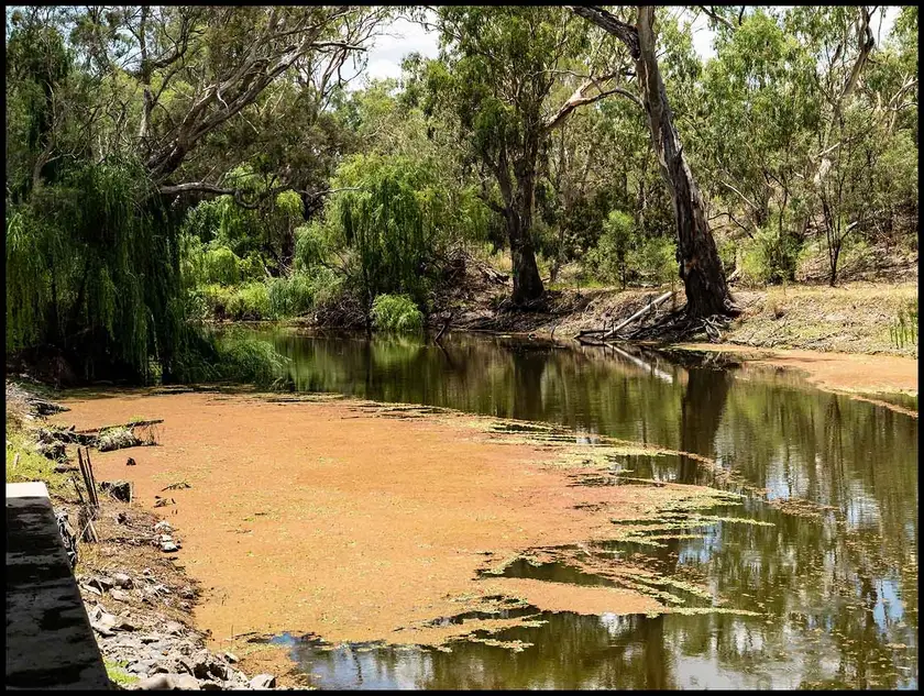 Mungindi
