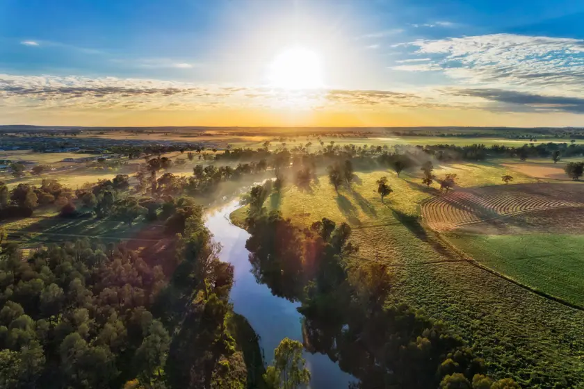 Dubbo