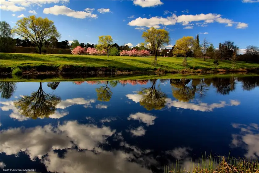 Bombala