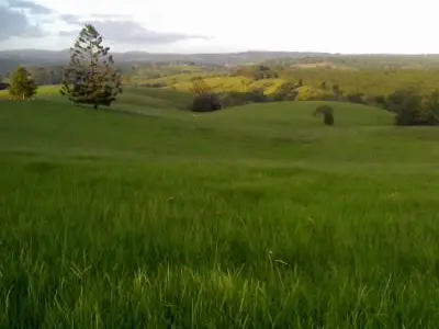 Clunes